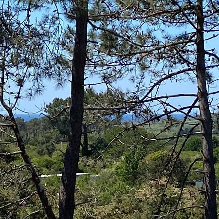 Maison Architecte Bois Du Kador A Morgat Crozon Dış mekan fotoğraf
